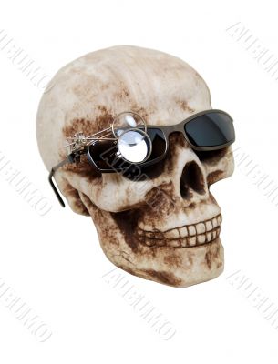 Optical skull