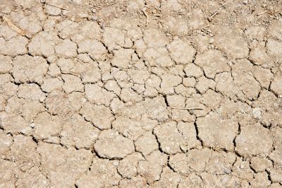 Cracked ground during drought