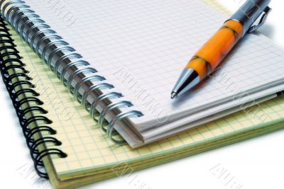 Pen on Spiral Notebooks