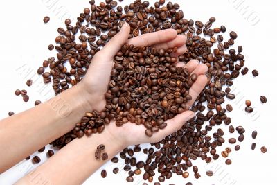 Coffee beans in hands