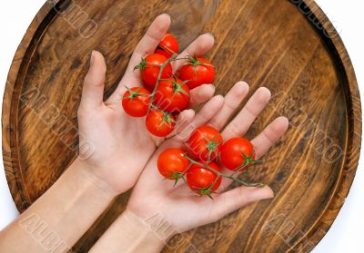 cherry tomatoes in hands