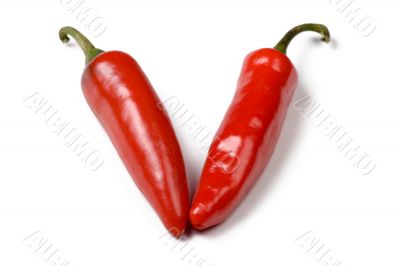 Red chili