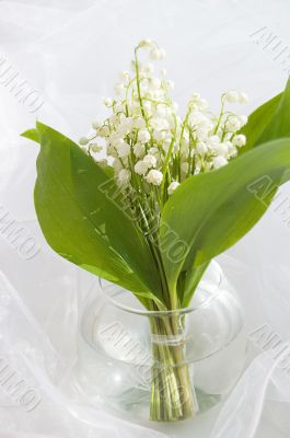 Bouquet of lily of the valley Bouquet of lily of the valley