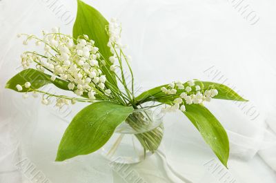 Lily of the valley in vase