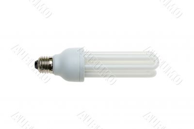 Fluorescent light bulb isolated