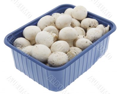 Champignon Champignon