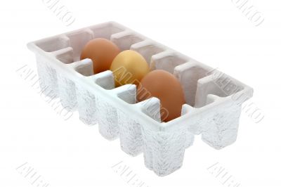 golden egg golden egg