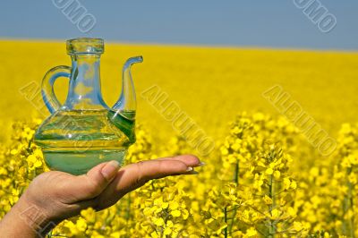 Rape oil, bottle, blossoming rape field