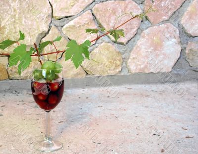 vine shoot over wine glass