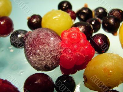 Berry allsorts Berry allsorts