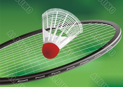 badminton racket and flounce