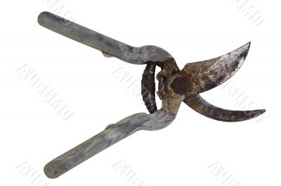 secateurs equipment gardener secateurs equipment gardener