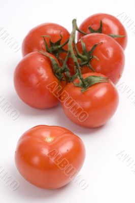 Tomato