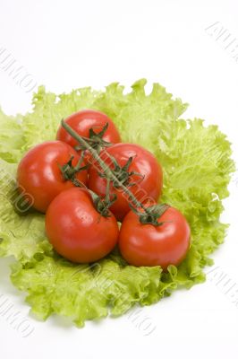 Branch of cherry tomato on leaf lettuce.