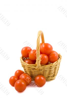 cherry berr ytomatoes in a wicket isolated on white