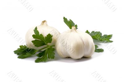 garlics with parsley