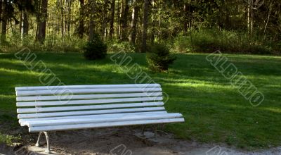 Bench in the park