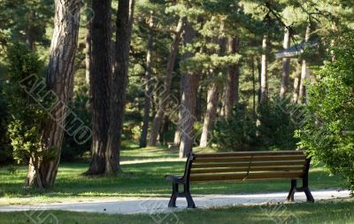 Bench in the park