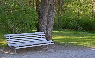 Bench in the park