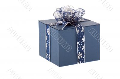 Present wrapped up festively Present wrapped up festively