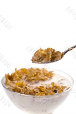 cornflakes with milk