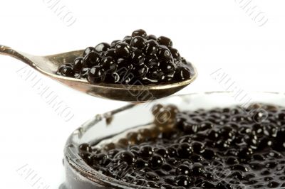 Caviar black