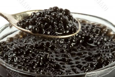 Caviar black