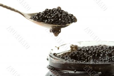 Caviar black