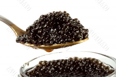 Caviar black