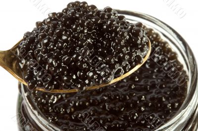 Caviar black