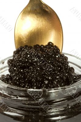 Caviar black