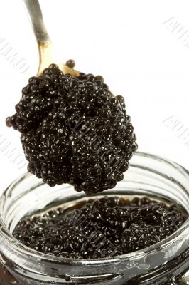 Caviar black