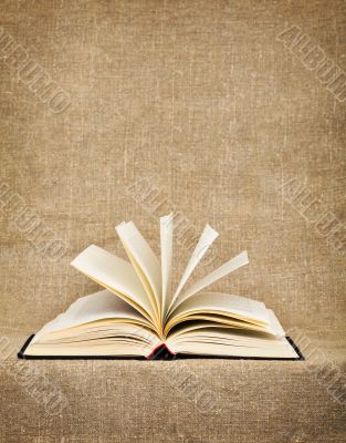 Open big book on a canvas Open big book on a canvas