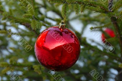 Christmas ball Christmas ball