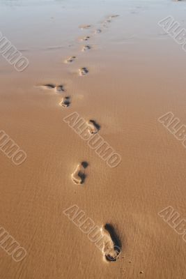 Steps left on the wet sand after nice heat. Steps left on the wet sand after nice heat.
