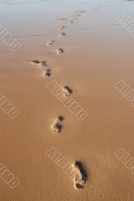 Steps left on the wet sand after nice heat.