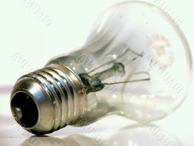 The burned-out light bulb.