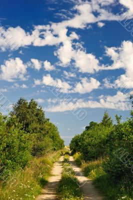 Country Road Country Road