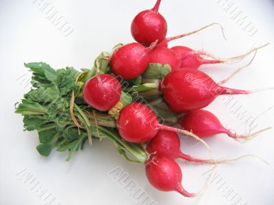  radish