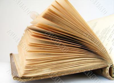 Fairy wings through old book sheets... Fairy wings through old book sheets...