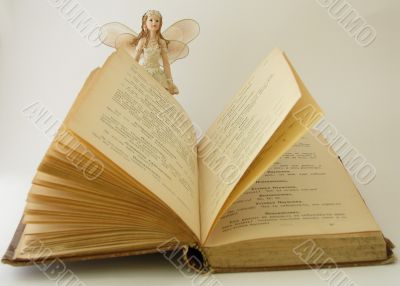 Fairies read books too
