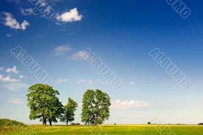 Expanse Expanse