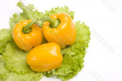 Sweet peppers on leaf lettuce.