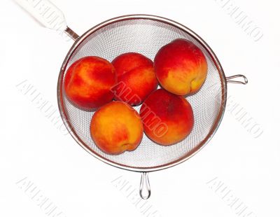 Peaches in colander isolated