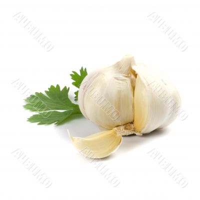 garlic with green parsley garlic with green parsley