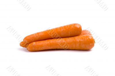 fresh carrots