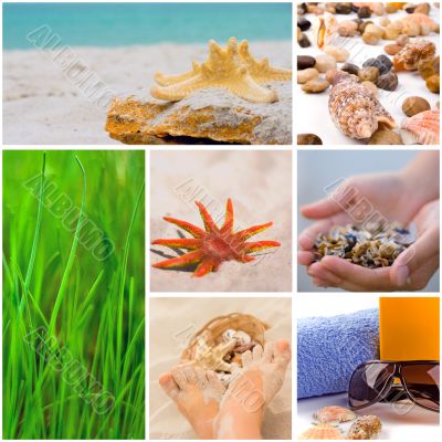 beach collection beach collection