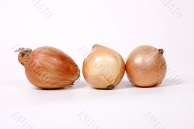 Onions on the white background.