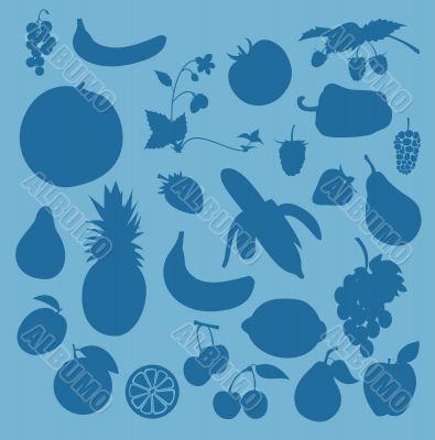 fruit fruit