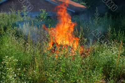 Fire in green grass